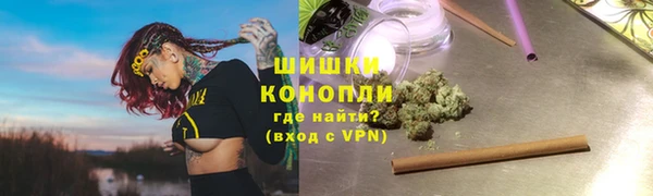 шишки Бронницы